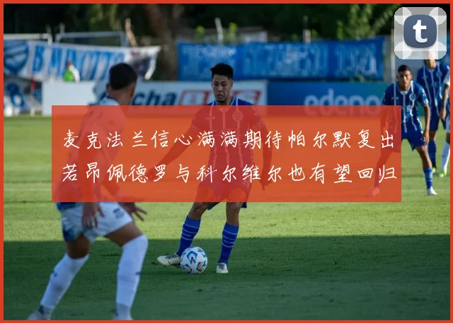 麦克法兰信心满满期待帕尔默复出若昂佩德罗与科尔维尔也有望回归