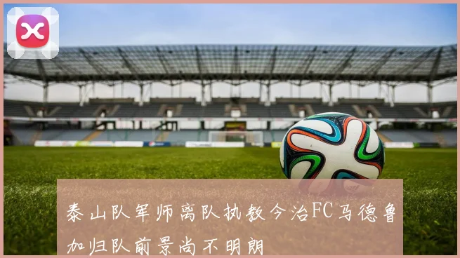 泰山队军师离队执教今治FC马德鲁加归队前景尚不明朗